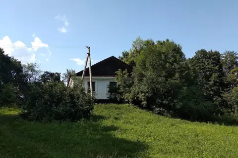 Гетьманівський дендропарк (парк-пам'ятка садово-паркового мистецтва) — фото 4
