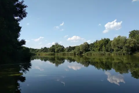 Гетьманівський дендропарк (парк-пам'ятка садово-паркового мистецтва) — фото 5