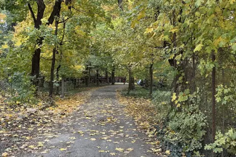 Парк культури і відпочинку (Парк Перені) — фото 5