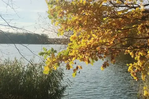 Щирецьке водосховище — фото 2