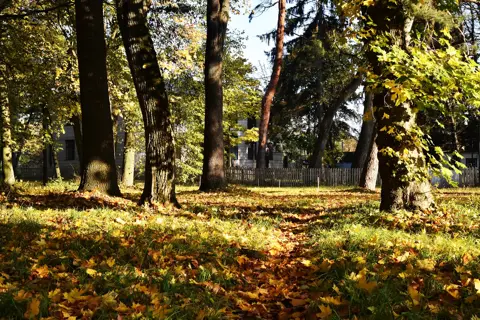 Вільхівський парк — фото 1
