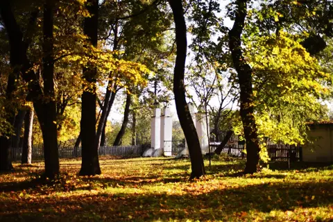 Вільхівський парк — фото 8