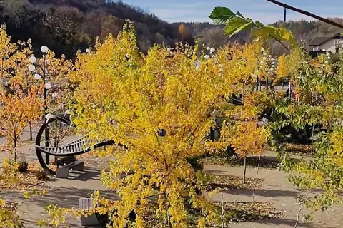 Шодуарівський парк — фото 2