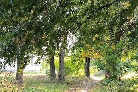 Юзефа Крашевського — фото 14