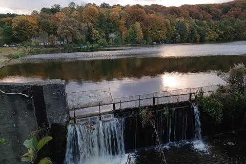 Санаторій Розділ (парк-пам'ятка садово-паркового мистецтва) — фото 3