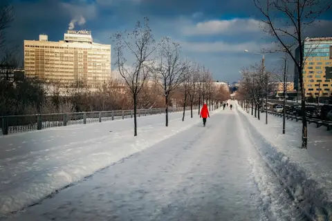 Кулиничі (ботанічний сад) — фото 7