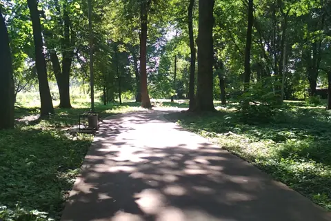Лужанський парк — фото 3