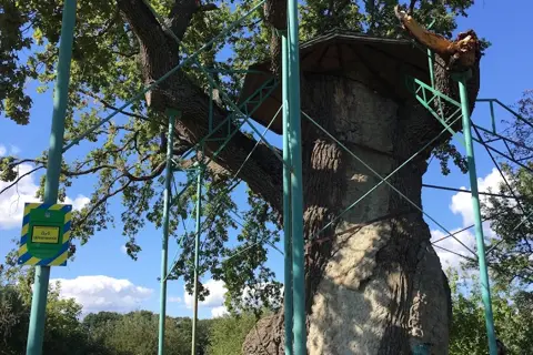 Будищанський парк — фото 2