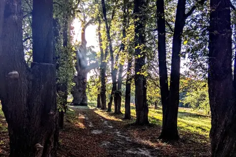 Будищанський парк — фото 5