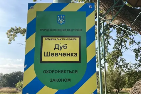 Будищанський парк — фото 6