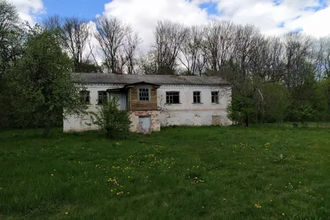 Будищанський парк — фото 14