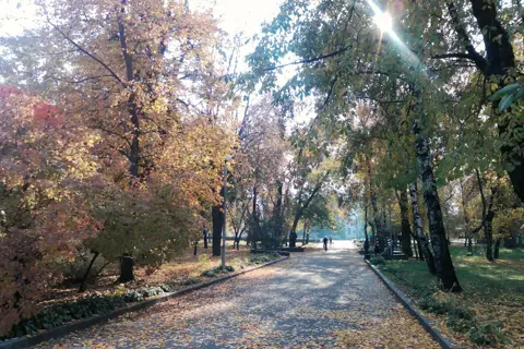 Меморіальний парк — фото 3