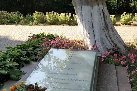 Природно-історичний комплекс Г. С. Сковороди — фото 5