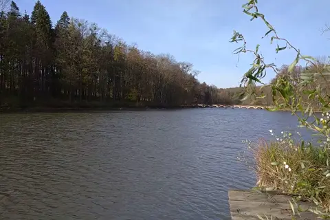Сидорівський парк — фото 2