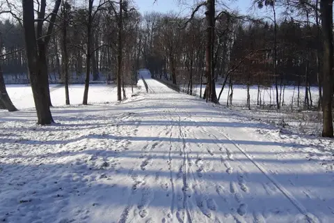 Сидорівський парк — фото 7