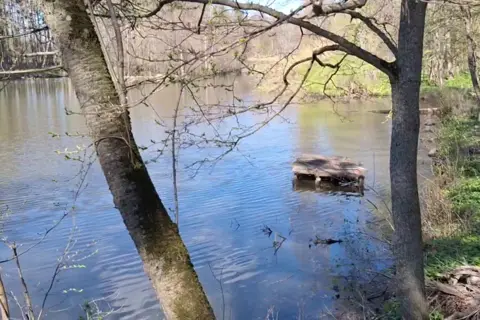 Сидорівський парк — фото 8