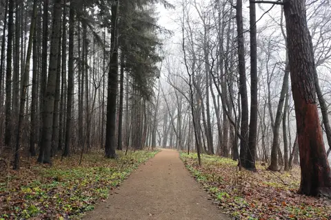 Сидорівський парк — фото 12