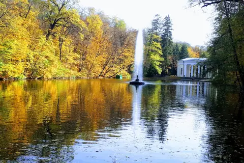 Сільський парк — фото 5