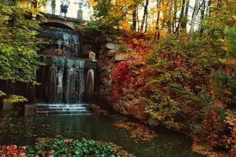 Сільський парк — фото 6