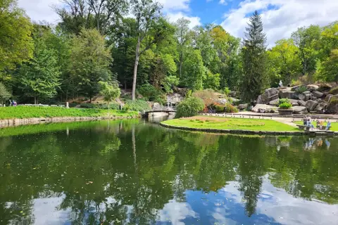 Сільський парк — фото 9
