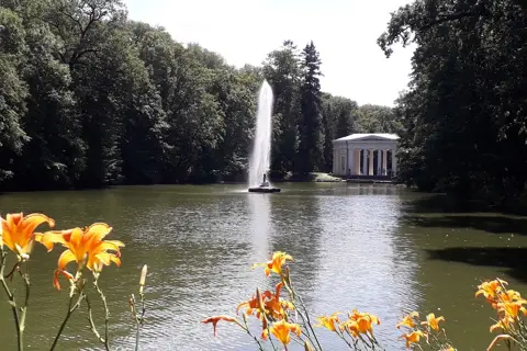 Сільський парк — фото 10
