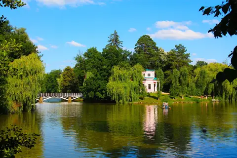 Сільський парк — фото 13
