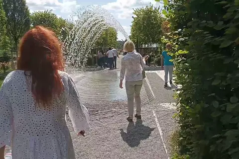 Дендропарк «Дружба» — фото 2