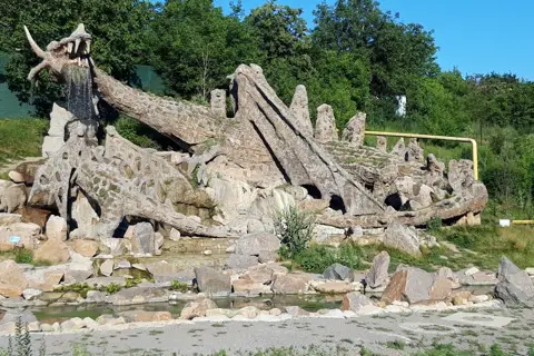 Дендропарк «Дружба» — фото 6