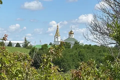 Шельпахівський парк — фото 8
