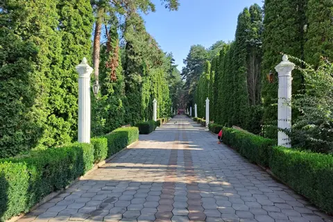 Дендропарк «Червона калина» — фото 12