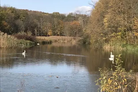 Старомерчицький парк — фото 2