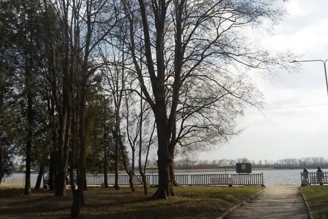 Млинівський парк — фото 1