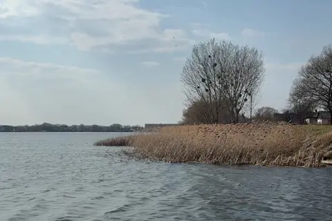 Млинівський парк — фото 3