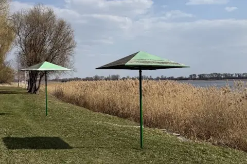 Млинівський парк — фото 6