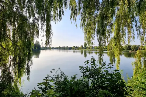 Млинівський парк — фото 7