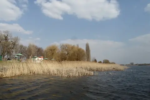 Млинівський парк — фото 8