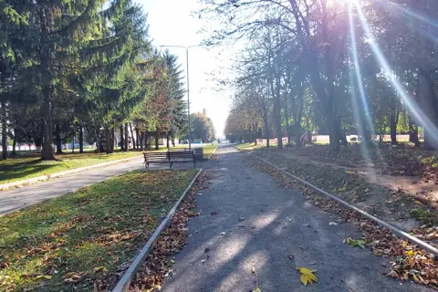 Млинівський парк — фото 13