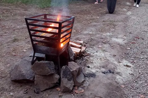 Млинівський парк — фото 14