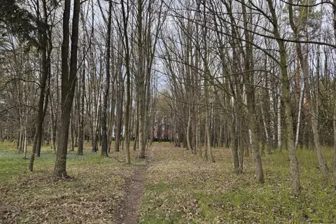 Новоставський дендропарк (парк-пам'ятка садово-паркового мистецтва) — фото 14