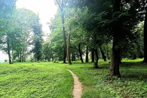 Тучинський парк — фото 1