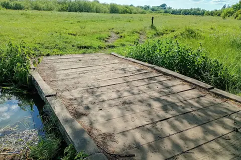 Тучинський парк — фото 6