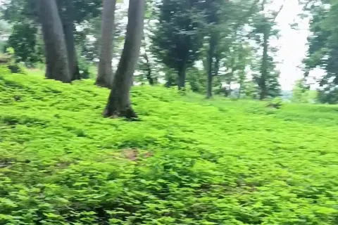 Тучинський парк — фото 8