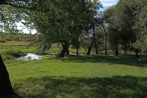 Тучинський парк — фото 13