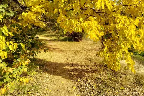Парк ім. Шевченка — фото 8
