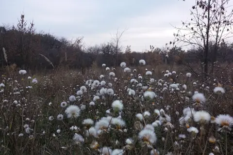 Парк ім. Шевченка — фото 12