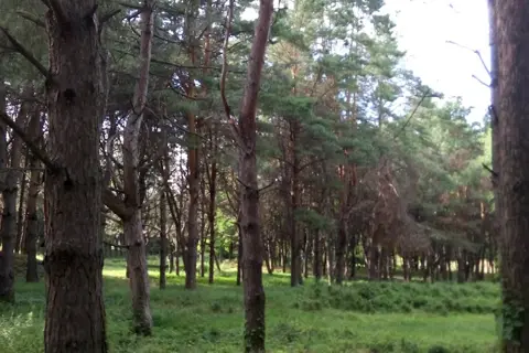 Парк енергетиків — фото 13