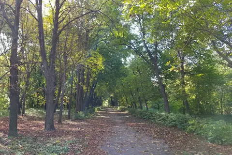 Парк культури і відпочинку селища Крижопіль — фото 2