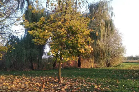 Слов'янський парк — фото 9