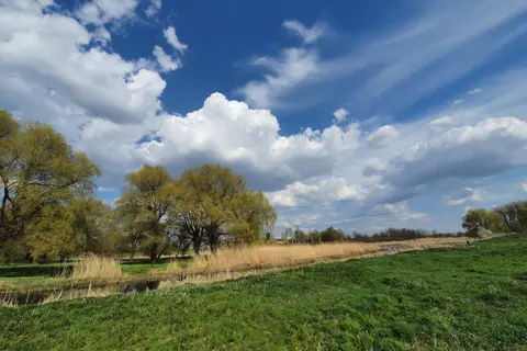 Слов'янський парк — фото 11