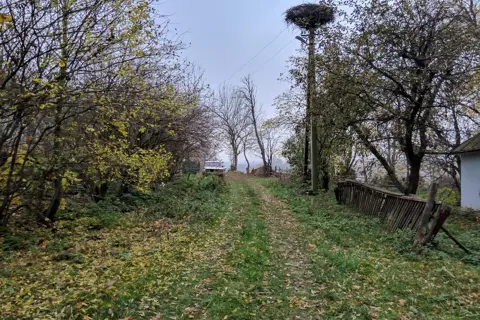 Шелехівський парк — фото 3